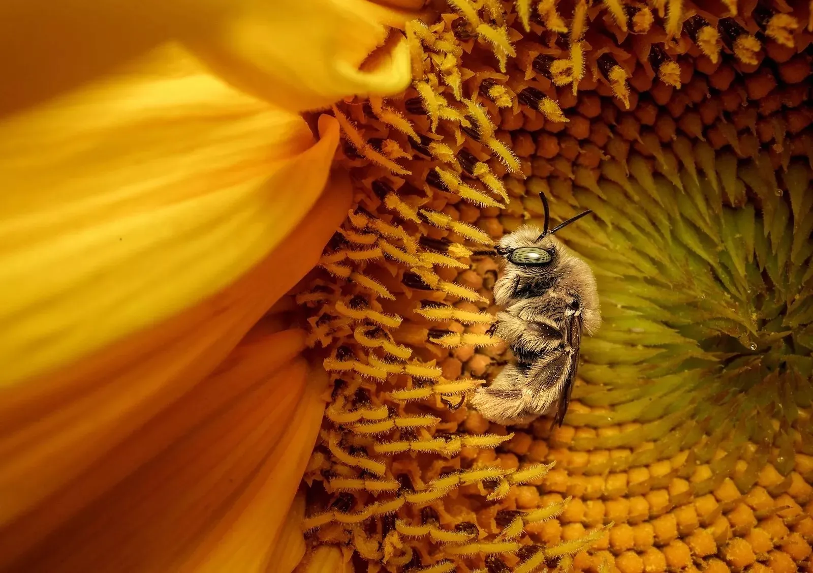 بهترین عکس های سال 2025 نشنال جئوگرافیک 11