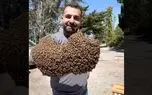 مردی که ۱۲ کیلو زنبور را در دست می‌گیرد