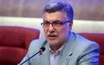 وزیر بهداشت: الان در قله پیک آنفلوآنزا هستیم