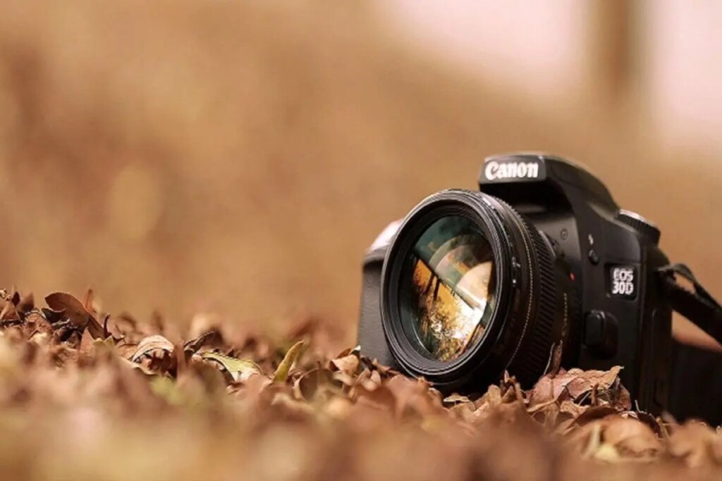 برنده جایزه عکس یونیسف / کودکان در معادن زغال سنگ، هند