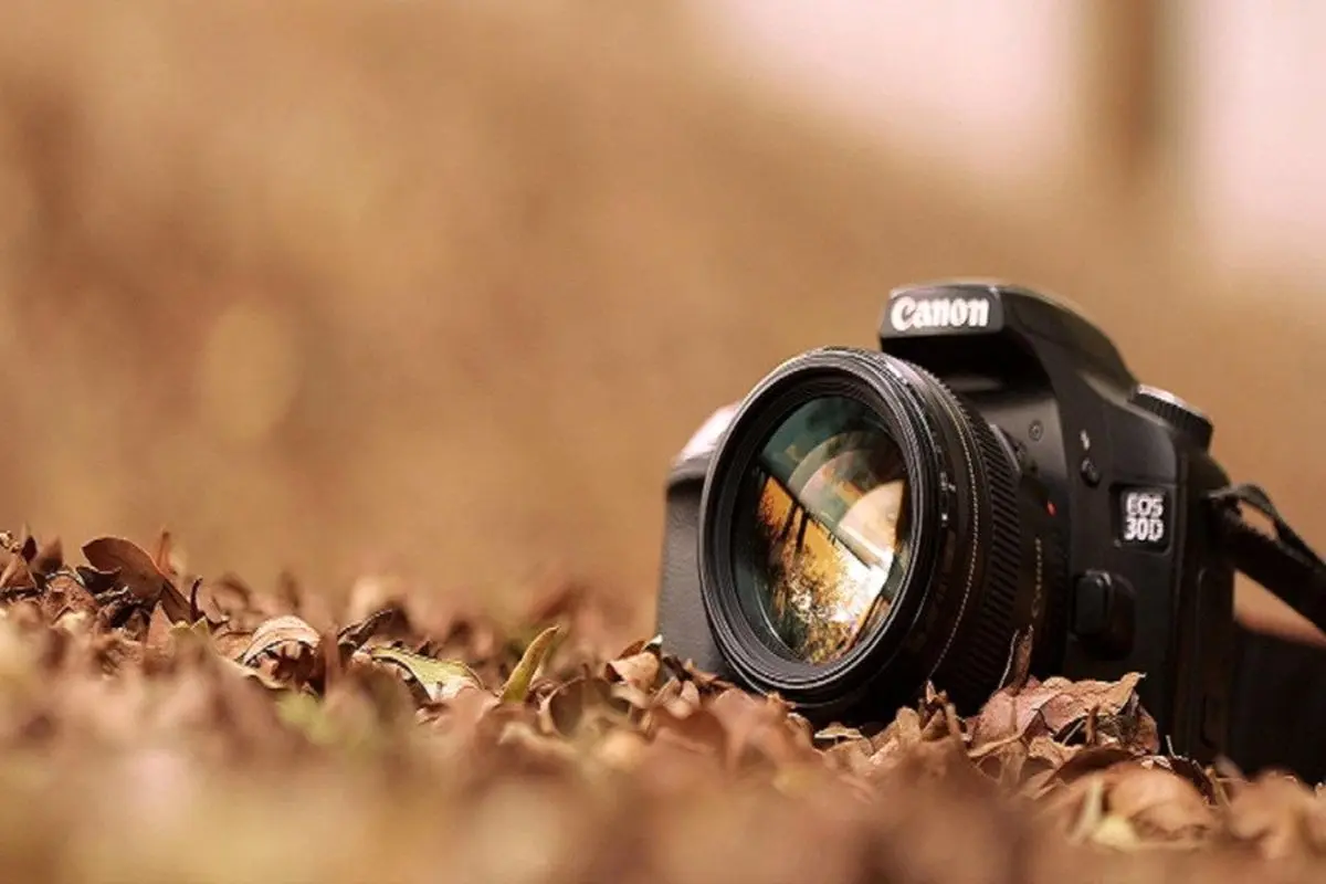 برنده جایزه عکس یونیسف / کودکان در معادن زغال سنگ، هند