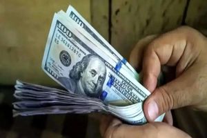 قیمت دلار امروز ۶ دی شوکه‌کننده شد