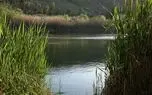 آبگیری حدود ۳۰ درصدی تالاب و مراتع جازموریان در جنوب کرمان