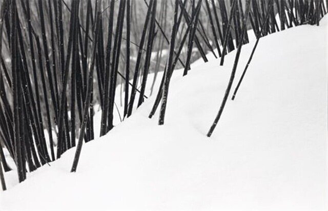 از عکس های عباس کیارستمی