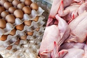 ریزش سنگین قیمت مرغ، تخم مرغ و گوشت قرمز در بازار