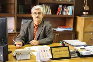 دخالت دولت در قیمت گذاری باعث توقف تولید خودرو می شود