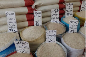 قیمت جدید برنج | برنج ایرانی، هندی و پاکستانی کیلویی چند؟