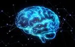 چند عادت ساده برای تقویت و سلامت مغز