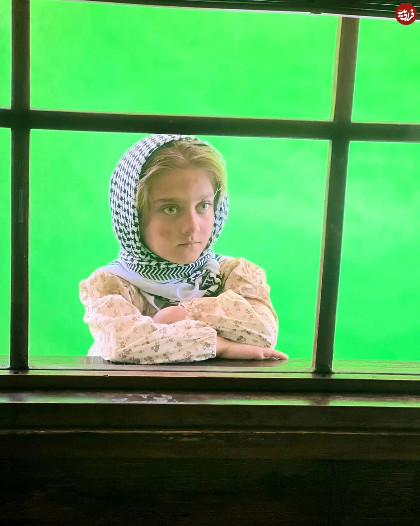 ava_amirzadeh_1764177803_3774519450838525761_8440520499