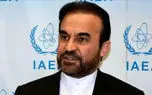 سفیر آژانس بین المللی انرژی اتمی در شورای حکام چه گفت؟