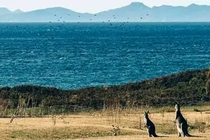 یک وب‌سایت گردشگری ساخته‌شده با هوش مصنوعی گردشگران را به چشمه آب‌گرم خیالی فرستاد