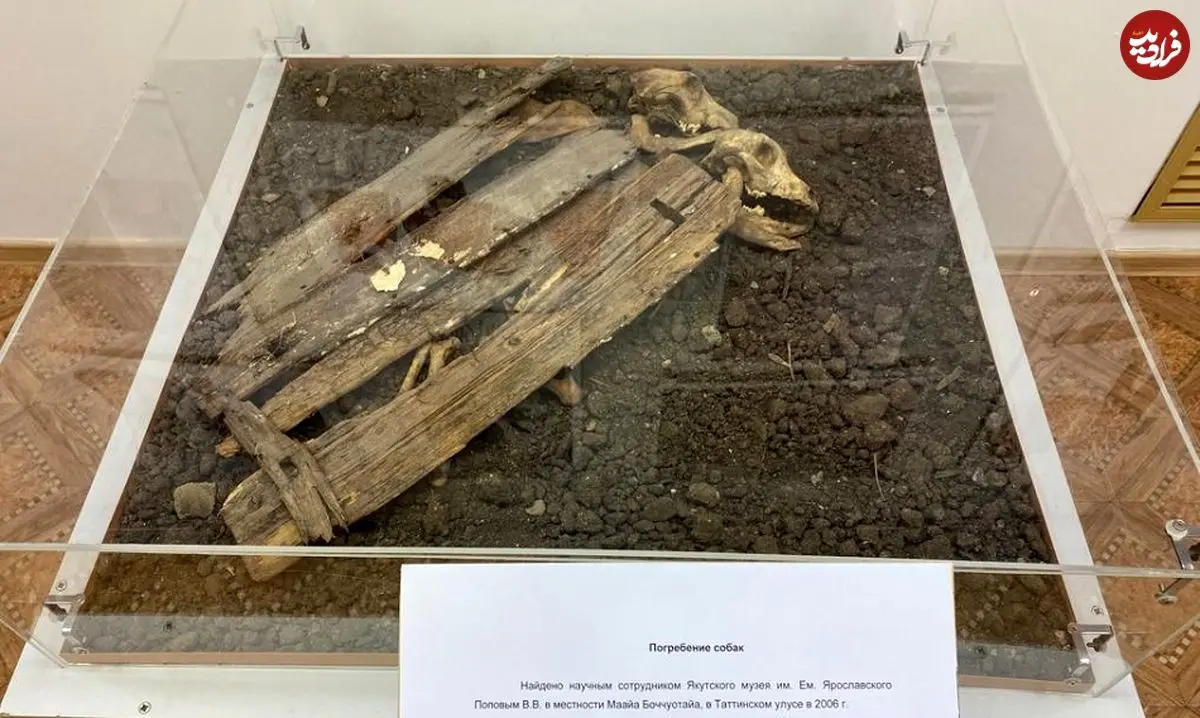 کشف اسکلت های