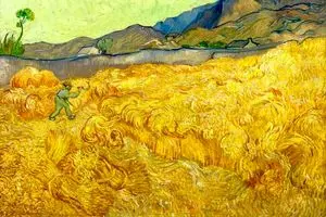 جادوی «زرد»!