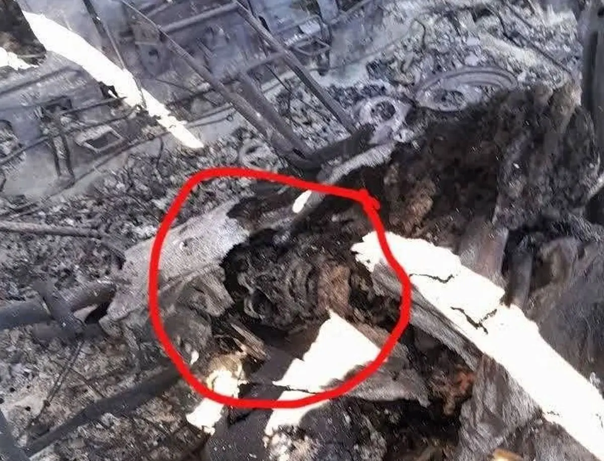     عذرخواهی مجری شبکه خبر به دلیل پخش تصویر نادرست جمجمه شب گذشته/فیلم