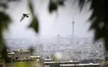 افزایش ۴ درجه‌ای دما در تهران تا پایان هفته