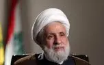 نعیم قاسم: تصمیم کربلایی ما پابرجاست/طرح حذف حزب‌الله شکست خورده