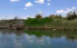 احیای تالاب قره قشلاق بعد از ۱۵ سال