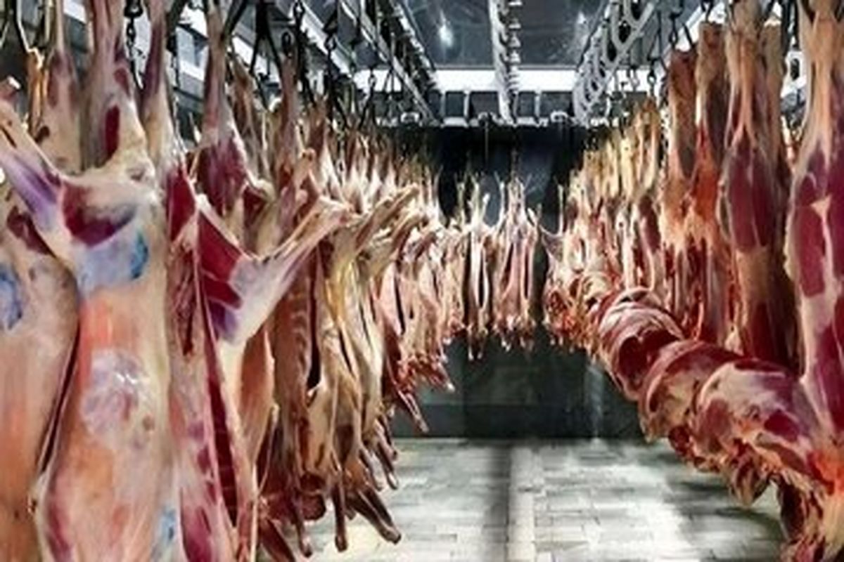 انتظار افزایش شدید قیمت گوشت