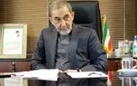 ولایتی: دنباله‌روی از فشار بیرونی، تصویر محترم عمان در ذهن ایران را مخدوش می‌کند