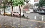 تهرانی‌ها منتظر وزش باد و کاهش دما باشند