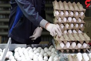 قیمت تخم‌مرغ کیلویی چند؟